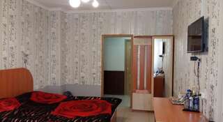 Гостиница Abramovich na Kabanskoy Улан-Удэ Двухместный номер с 1 кроватью или 2 отдельными кроватями-2